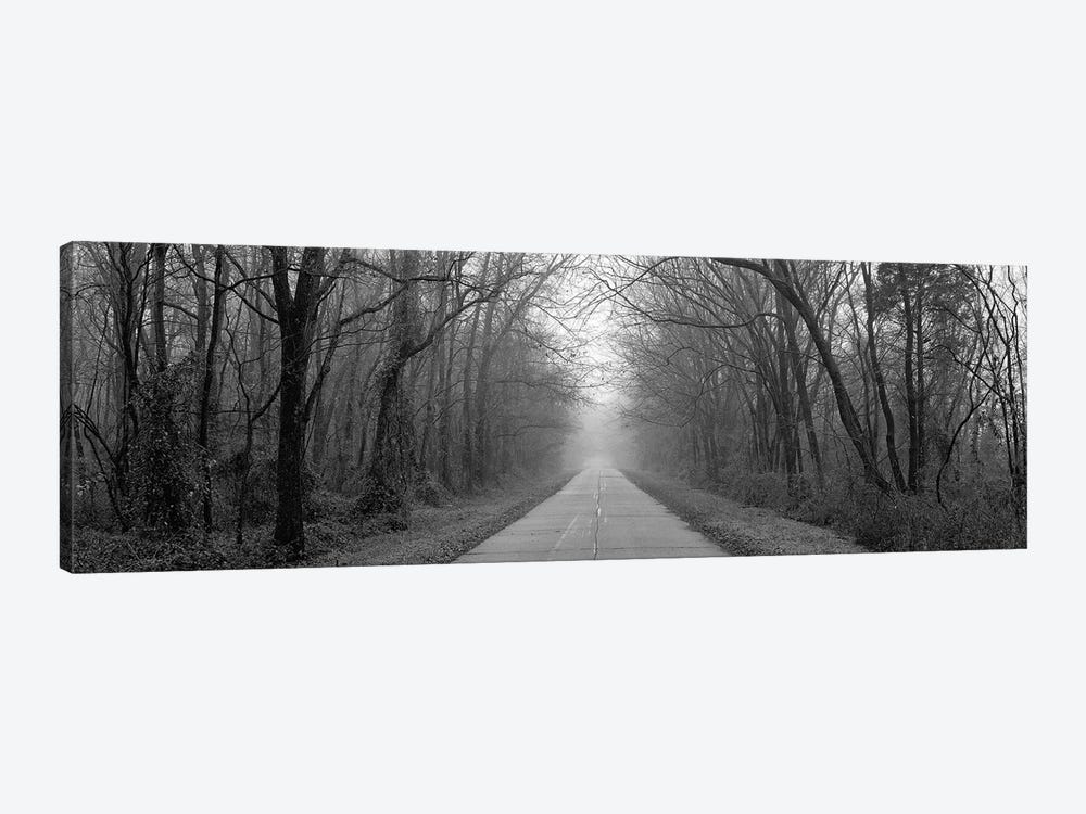 Foggy Tree Lined Road Illinois USA by Panoramic Images 1-piece Canvas Print