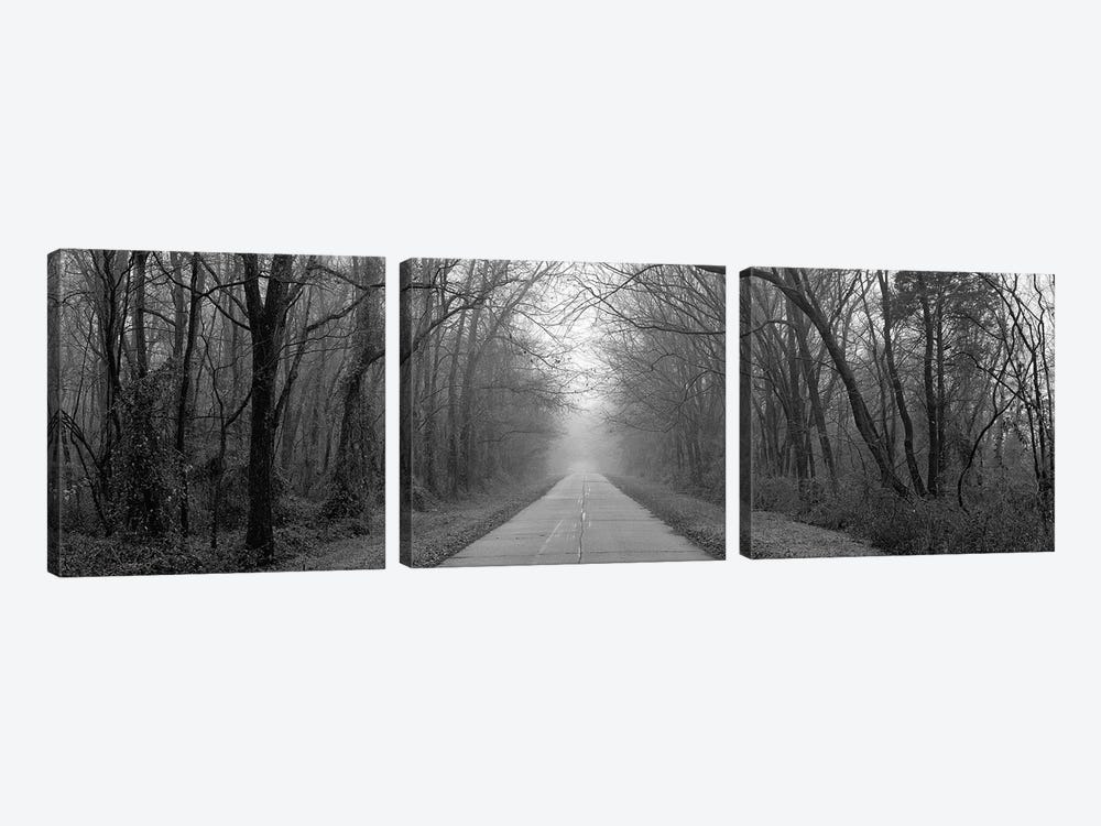 Foggy Tree Lined Road Illinois USA by Panoramic Images 3-piece Canvas Print