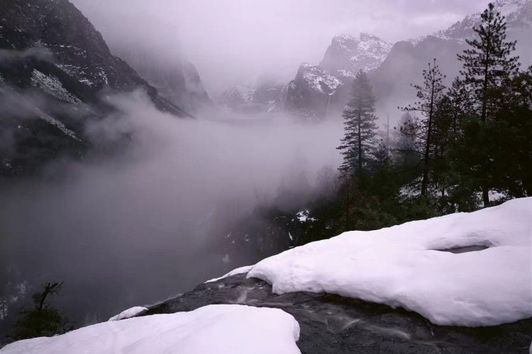 USA, California, Yosemite National Park, Fog over the forest