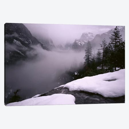 USA, California, Yosemite National Park, Fog over the forest Canvas Print #PIM11163} by Panoramic Images Canvas Art