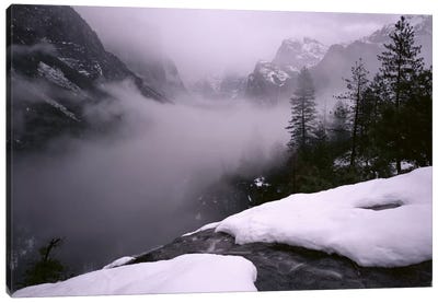 USA, California, Yosemite National Park, Fog over the forest Canvas Art Print - Wilderness Art