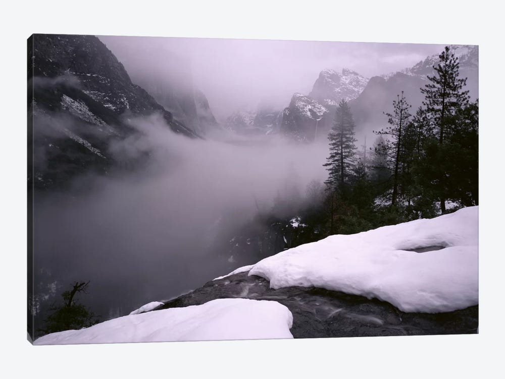 USA, California, Yosemite National Park, Fog over the forest by Panoramic Images 1-piece Canvas Art