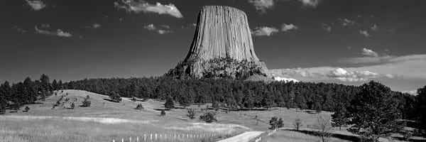 Wyoming: USA, Wyoming, Devils Tower National Monument, Low angle view of a natural rock formation (Black And White) by Panoramic Images