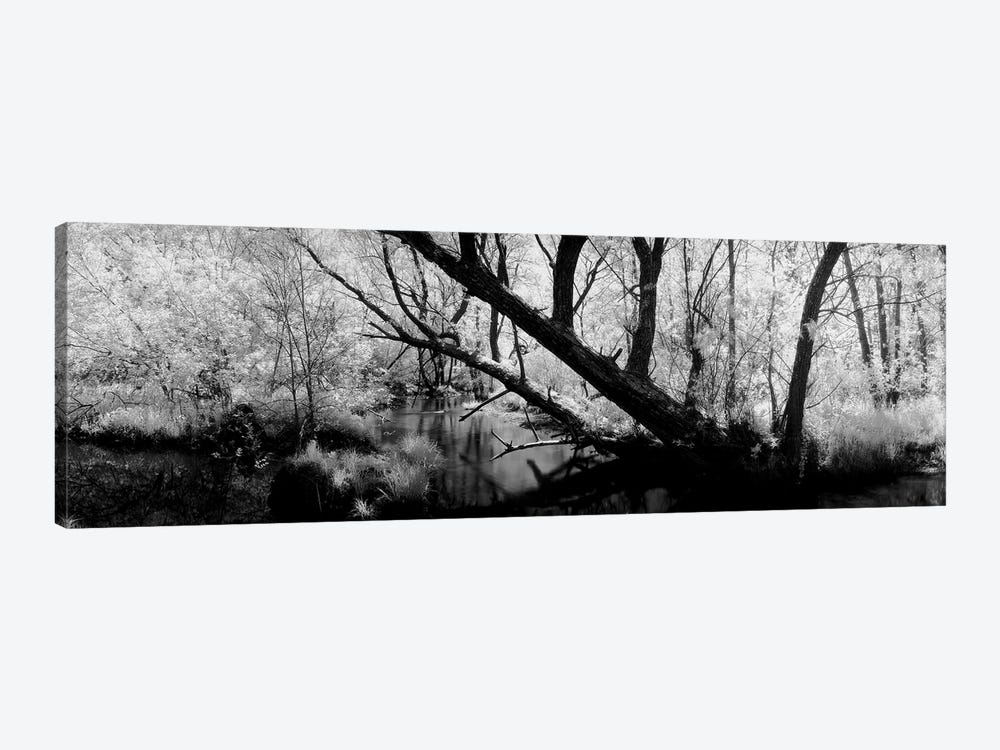 USA, Wisconsin, Stream of water flowing through a forest by Panoramic Images 1-piece Canvas Artwork