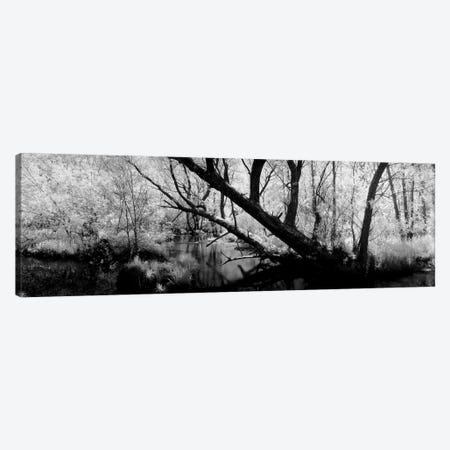 USA, Wisconsin, Stream of water flowing through a forest Canvas Print #PIM11183} by Panoramic Images Canvas Art