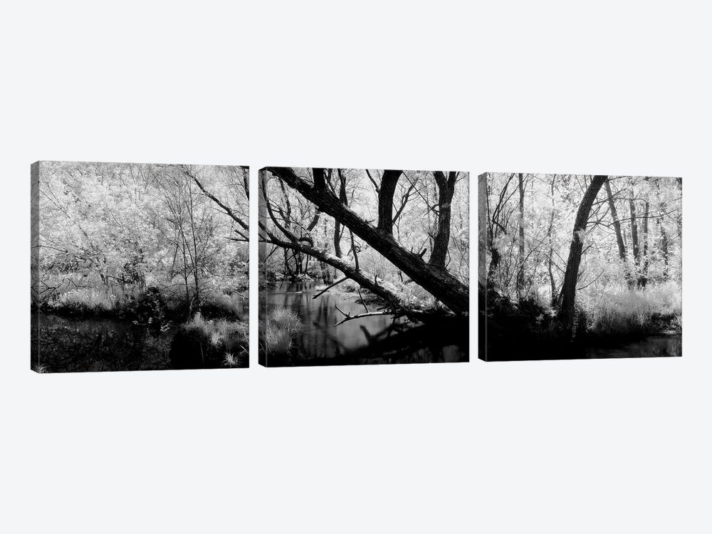 USA, Wisconsin, Stream of water flowing through a forest by Panoramic Images 3-piece Canvas Art
