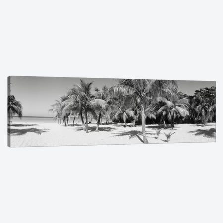 Palm Trees On The Beach In B&W, Negril, Jamaica Canvas Print #PIM11188} by Panoramic Images Canvas Artwork