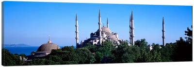 Blue Mosque Istanbul Turkey #3 Canvas Art Print - Turkey Art