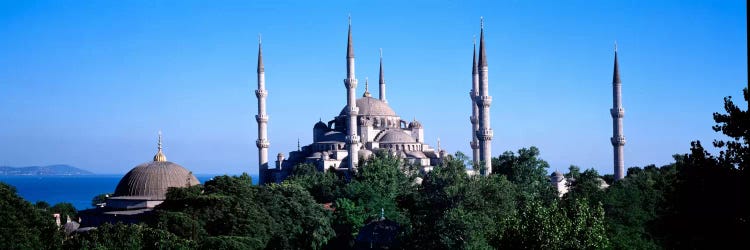 Blue Mosque Istanbul Turkey #3 by Panoramic Images wall art