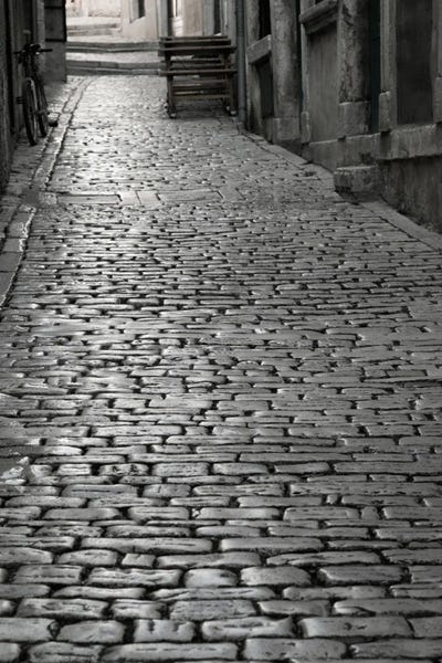 Cobbles street, Rovinj, Istria, Croatia by Panoramic Images multi panel art