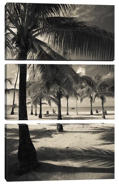 Palm trees on the beach, Playa Luquillo Beach, Luquillo, Puerto Rico Canvas Art Print - 3-Piece Beach Art