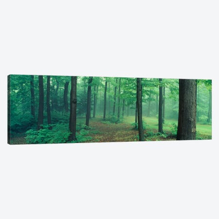 Chestnut Ridge Park, Orchard Park, New York State, USA Canvas Print #PIM1165} by Panoramic Images Canvas Art Print