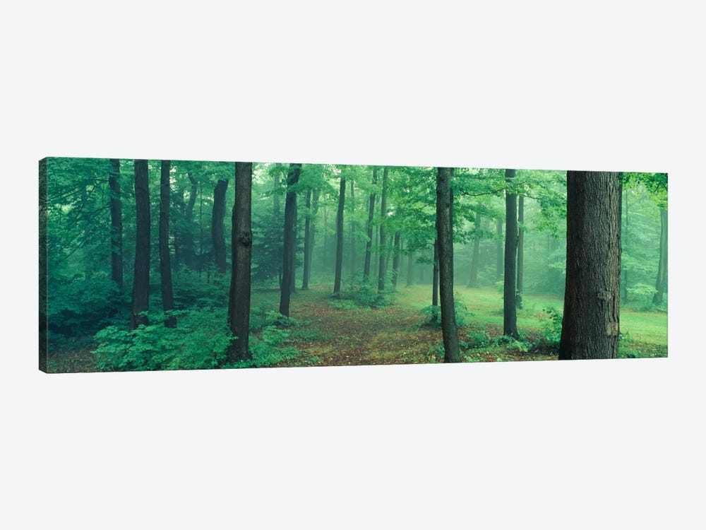 Chestnut Ridge Park, Orchard Park, New York State, USA by Panoramic Images 1-piece Canvas Art