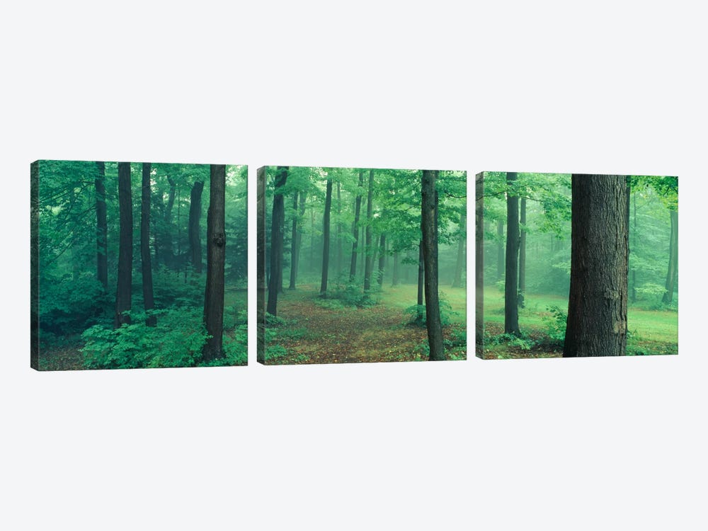 Chestnut Ridge Park, Orchard Park, New York State, USA by Panoramic Images 3-piece Canvas Art