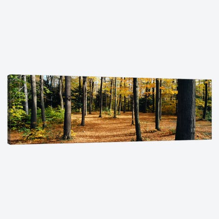 Chestnut Ridge Park Orchard Park NY USA Canvas Print #PIM1166} by Panoramic Images Canvas Art Print
