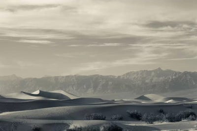 Sand dunes in a desert and Mountain Range, Mesquite Flat Sand Dunes, Death Valley National Park, Inyo County, California, USA by Panoramic Images framed wall art