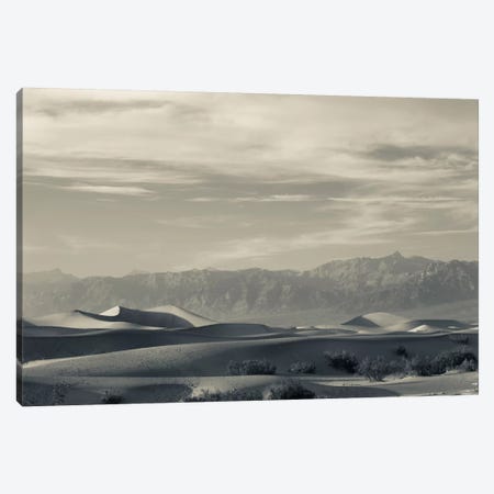 Sand dunes in a desert and Mountain Range, Mesquite Flat Sand Dunes, Death Valley National Park, Inyo County, California, USA Canvas Print #PIM11682} by Panoramic Images Canvas Art Print
