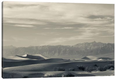 Sand dunes in a desert and Mountain Range, Mesquite Flat Sand Dunes, Death Valley National Park, Inyo County, California, USA Canvas Art Print - Death Valley National Park Art