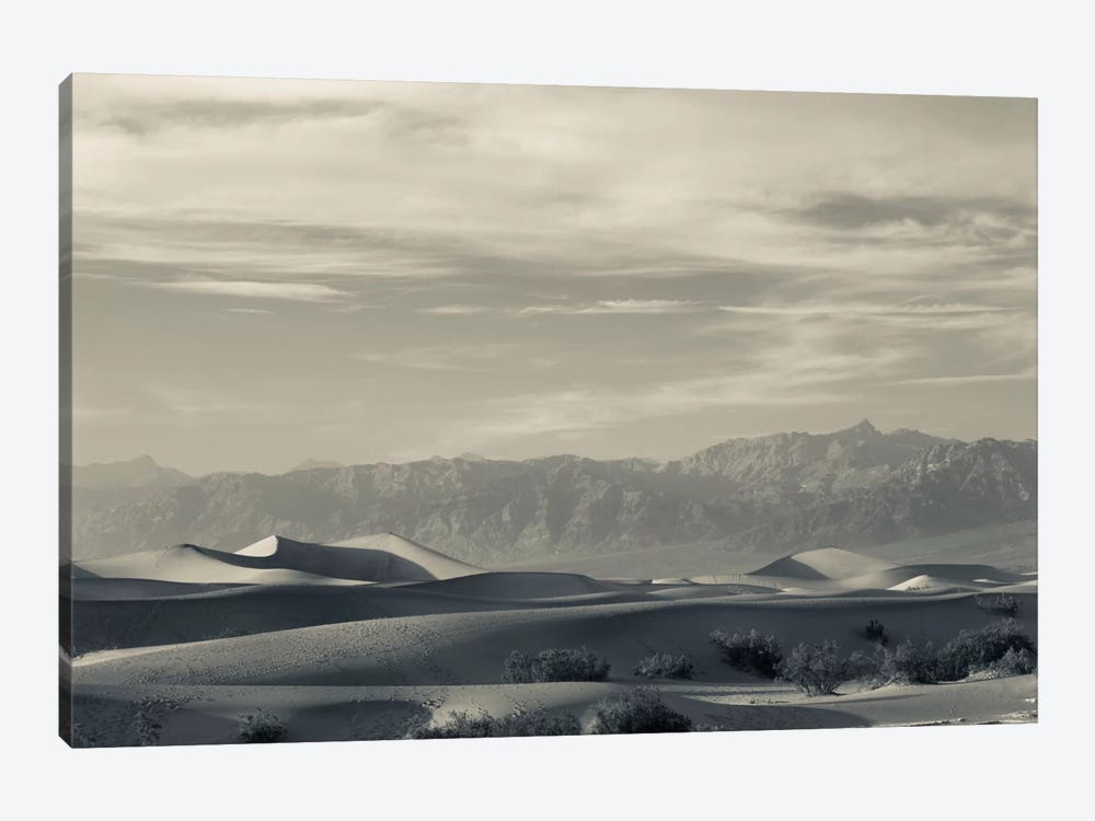 Sand dunes in a desert and Mountain Range, Mesquite Flat Sand Dunes, Death Valley National Park, Inyo County, California, USA by Panoramic Images 1-piece Canvas Artwork