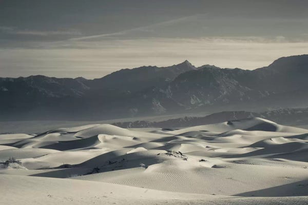 Death Valley National Park: Sand dunes in a desert and Mountain Range 2, Mesquite Flat Sand Dunes, Death Valley National Park, Inyo County, California, USA by Panoramic Images
