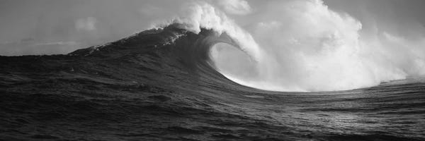 Hawaii: Waves in the sea, Maui, Hawaii, USA by Panoramic Images