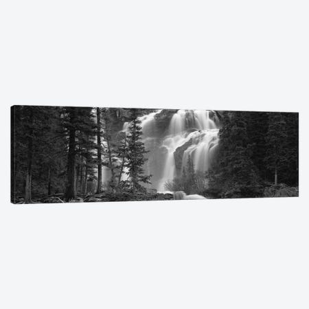 Waterfall in a forest, Banff, Alberta, Canada Canvas Print #PIM11704} by Panoramic Images Art Print