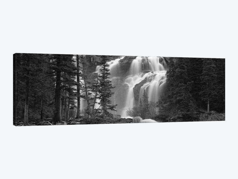 Waterfall in a forest, Banff, Alberta, Canada by Panoramic Images 1-piece Canvas Art Print