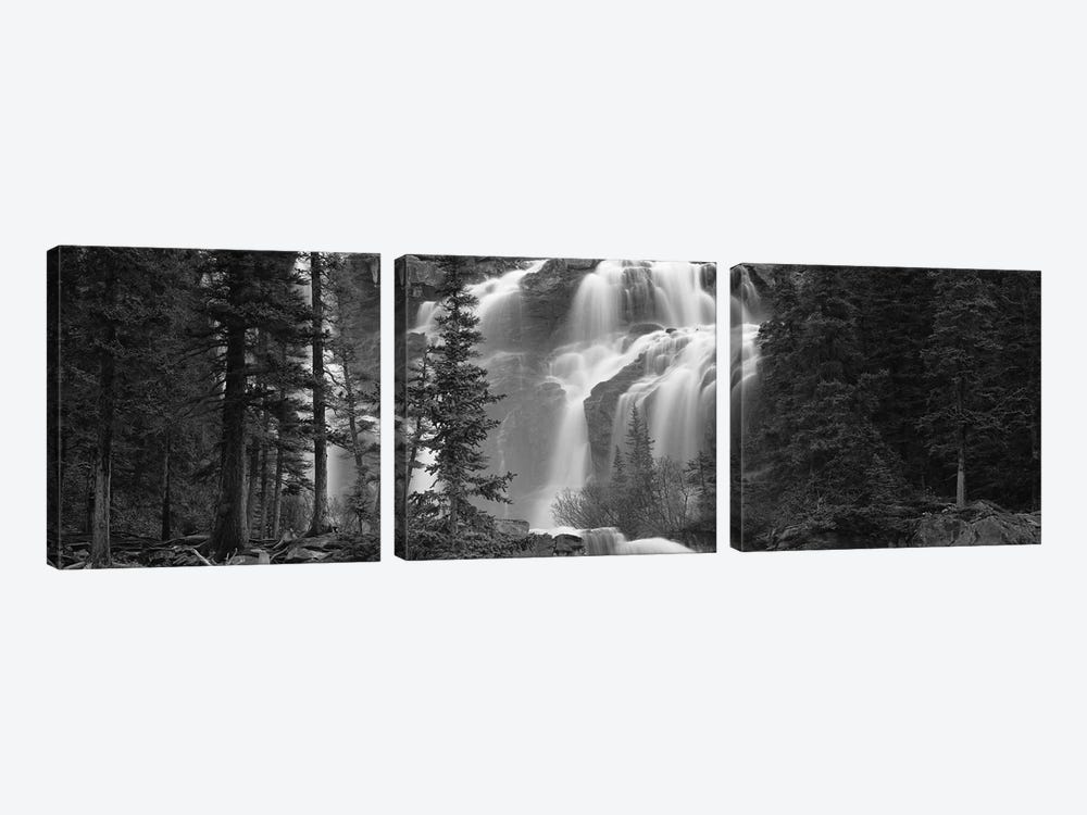 Waterfall in a forest, Banff, Alberta, Canada by Panoramic Images 3-piece Canvas Print