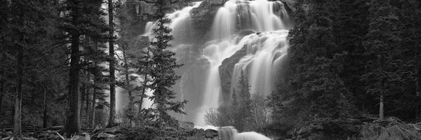 Canada: Waterfall in a forest, Banff, Alberta, Canada by Panoramic Images