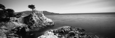 The Lone Cypress, 17-Mile Drive, California, USA by Panoramic Images acrylic art print