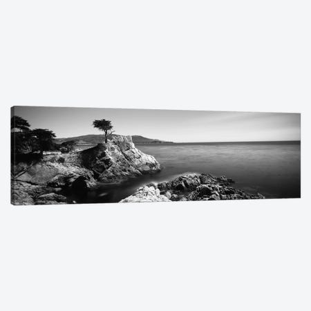 The Lone Cypress, 17-Mile Drive, California, USA Canvas Print #PIM11725} by Panoramic Images Canvas Art Print