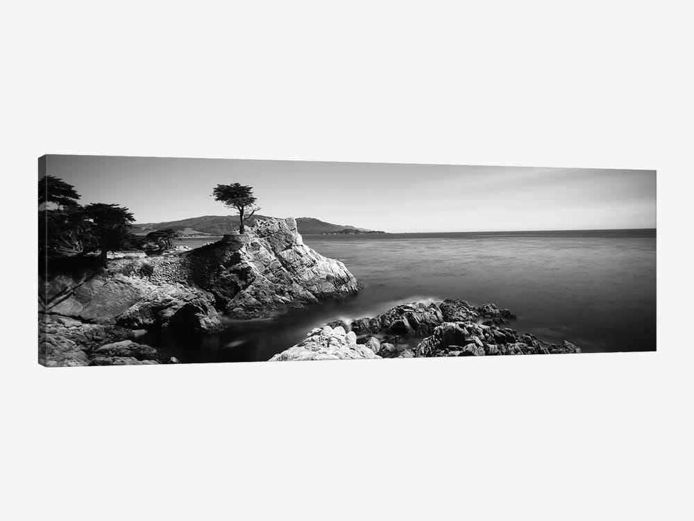 The Lone Cypress, 17-Mile Drive, California, USA by Panoramic Images 1-piece Canvas Artwork