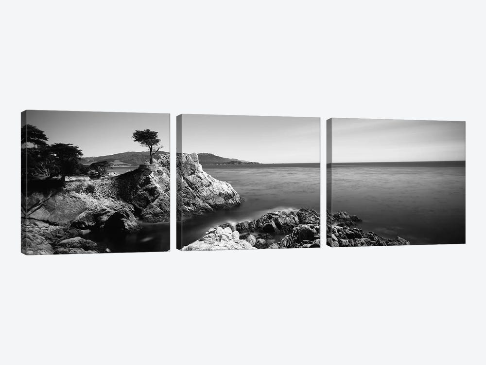 The Lone Cypress, 17-Mile Drive, California, USA by Panoramic Images 3-piece Canvas Art