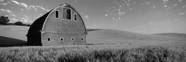 Old barn in a wheat field, Palouse, Whitman County, Washington State, USA
