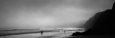 Surfers on the beach, Point Reyes National Seashore, Marin County, California, USA by Panoramic Images acrylic art print