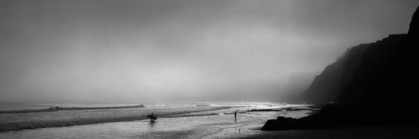 Surfers on the beach, Point Reyes National Seashore, Marin County, California, USA
