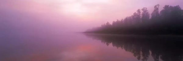 Black & Pink: Lake Paringa South Island New Zealand by Panoramic Images