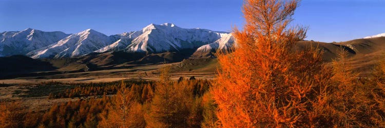 Castle Hill Basin Torlesse Mountains New Zealand