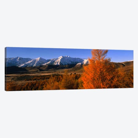 Castle Hill Basin Torlesse Mountains New Zealand Canvas Print #PIM1182} by Panoramic Images Canvas Art