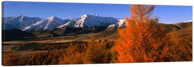 Castle Hill Basin Torlesse Mountains New Zealand Canvas Art Print - Scenic Fall