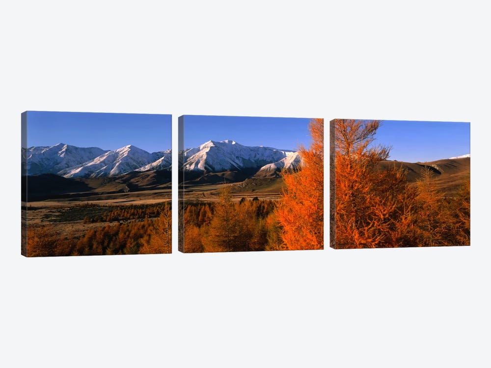 Castle Hill Basin Torlesse Mountains New Zealand by Panoramic Images 3-piece Canvas Art Print