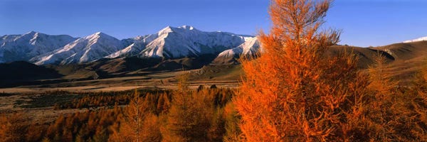 New Zealand: Castle Hill Basin Torlesse Mountains New Zealand by Panoramic Images