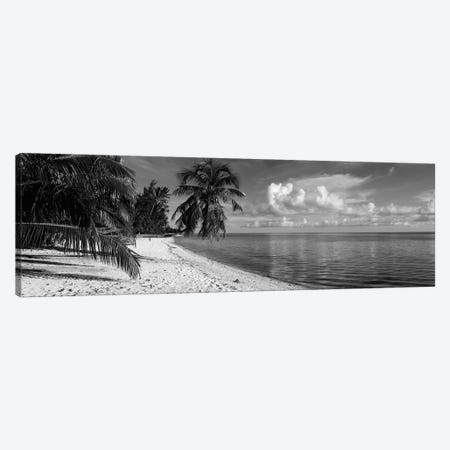 Palm trees on the beach, Matira Beach, Bora Bora, French Polynesia Canvas Print #PIM11837} by Panoramic Images Canvas Print