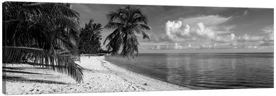 Palm trees on the beach, Matira Beach, Bora Bora, French Polynesia Canvas Art Print - Oceania Art