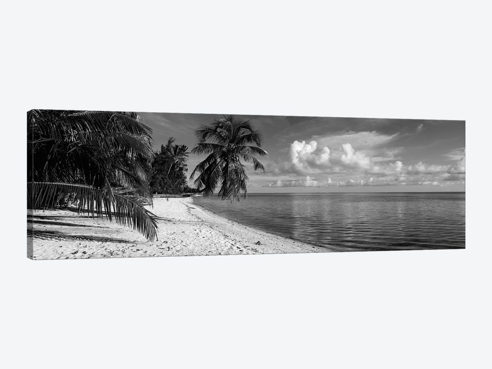 Palm trees on the beach, Matira Beach, Bora Bora, French Polynesia by Panoramic Images 1-piece Canvas Print