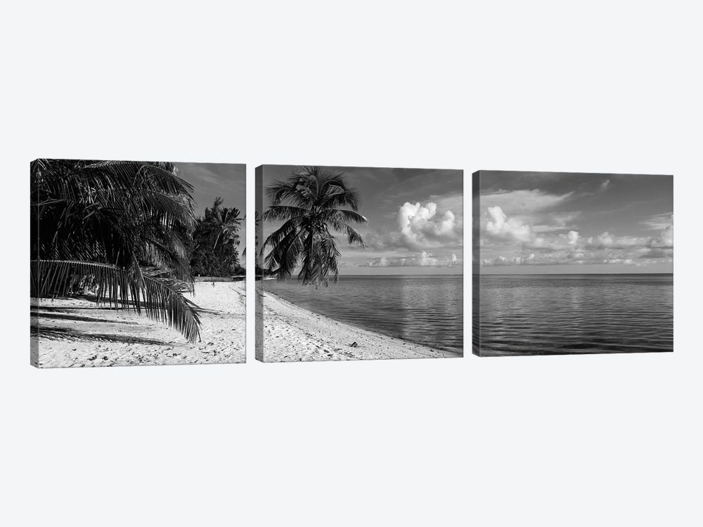 Palm trees on the beach, Matira Beach, Bora Bora, French Polynesia by Panoramic Images 3-piece Canvas Art Print