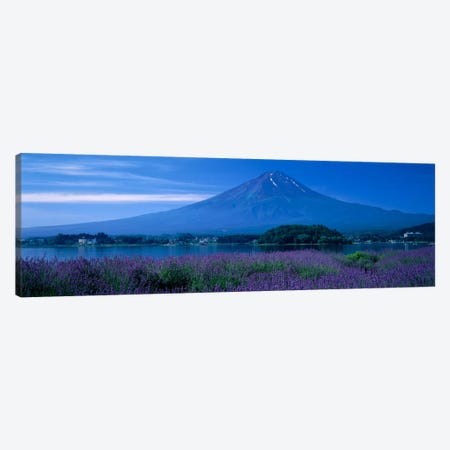 Mount Fuji Japan Canvas Print #PIM1183} by Panoramic Images Canvas Wall Art