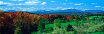Canvas Print: Autumn Trees VT by Panoramic Images - thumbnail