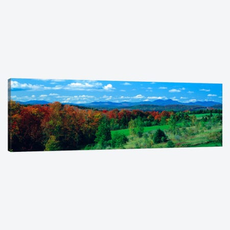 Autumn Trees VT Canvas Print #PIM1184} by Panoramic Images Canvas Art Print