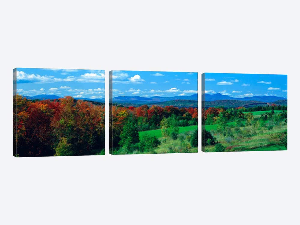 Autumn Trees VT by Panoramic Images 3-piece Art Print